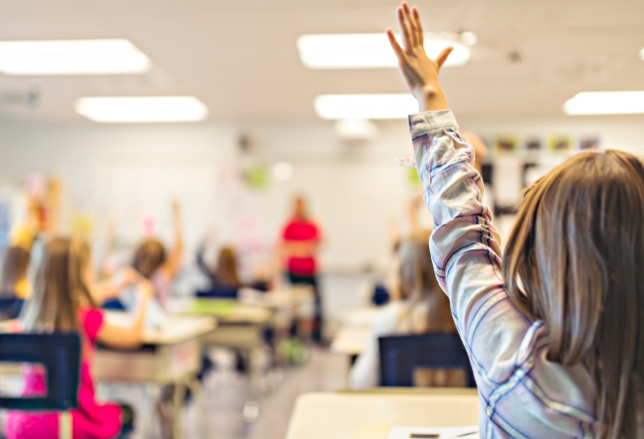 Student raising hand in class